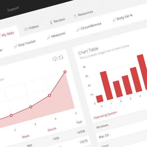Business Dashboards